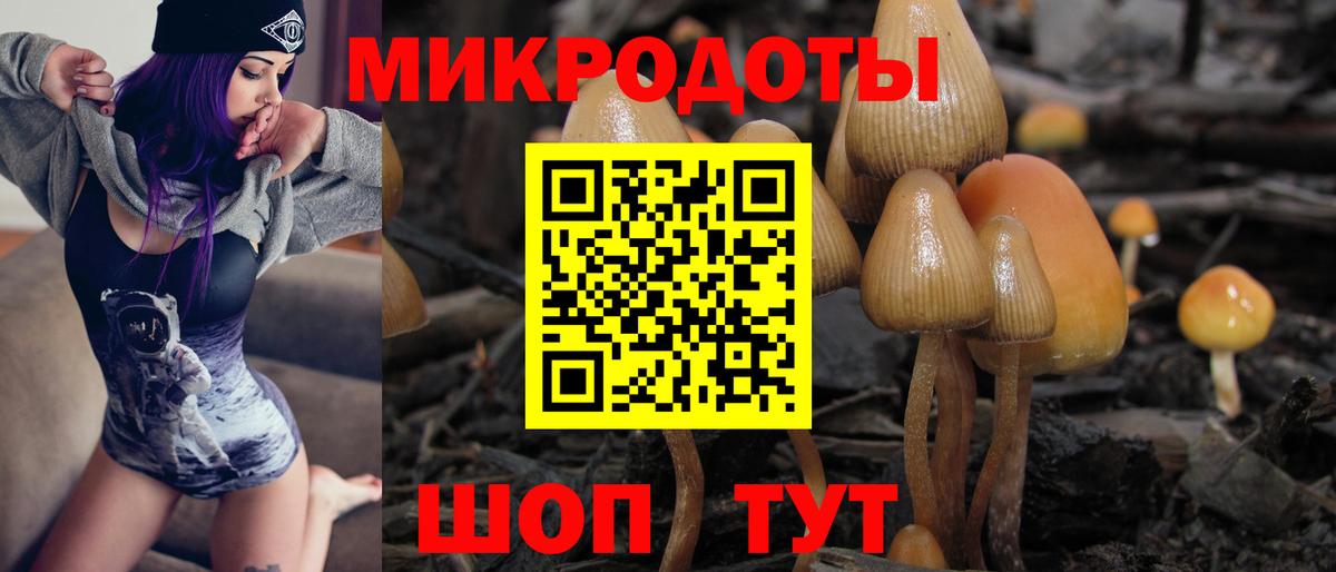 Галлюциногенные грибы Cubensis Осинники