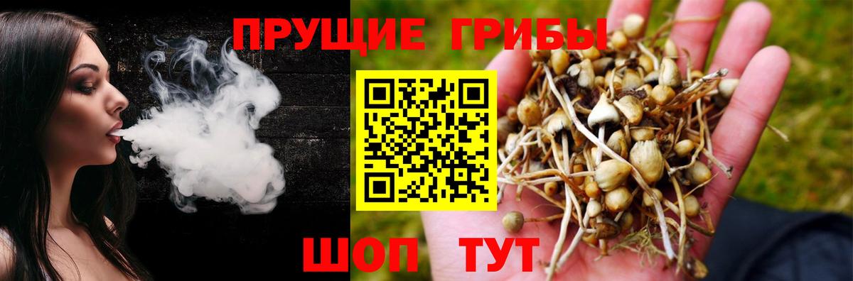 Осинники  Галлюциногенные грибы прущие грибы  Вход с VPN 